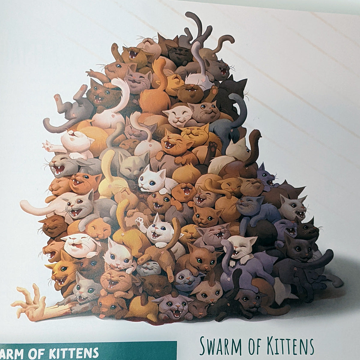 Fantastical Felines Softcover